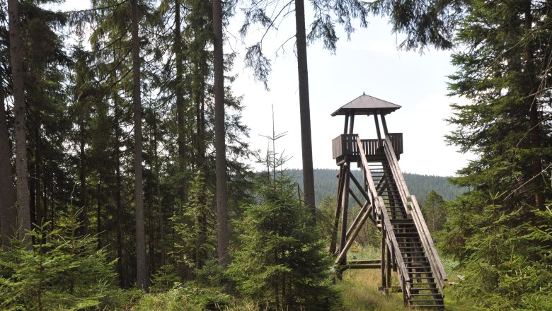 High moor Große Haide observation tower, © Reinhard Nieder