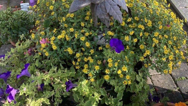 img_0347, &copy; Fr&uuml;hst&uuml;ckspension Gerstbauer