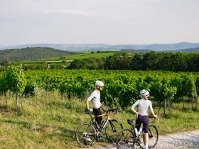 Blick &uuml;bers Kremstal in Priel, &copy; Donau N&Ouml;/Mara Hohla