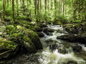 Schwarzautal c Robert Herbst (9), &copy; Robert Herbst