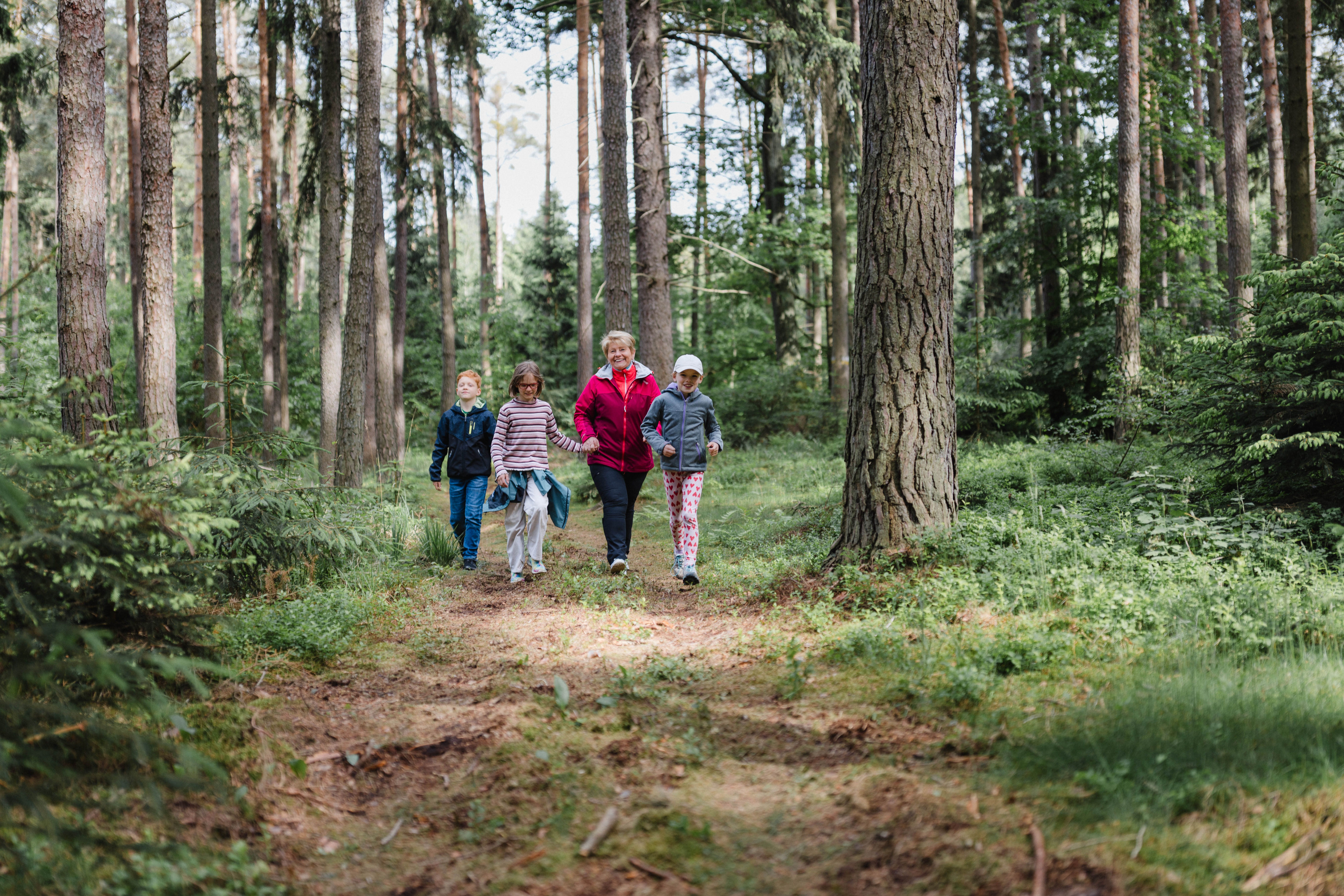 Emberek egy csoportja sétál egy erdei ösvényen a Göttweig gyógyító erdőben.