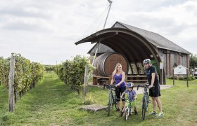 Hohenruppersdprf adventure vineyard, &copy; Weinviertel Tourismus GmbH / Herbst
