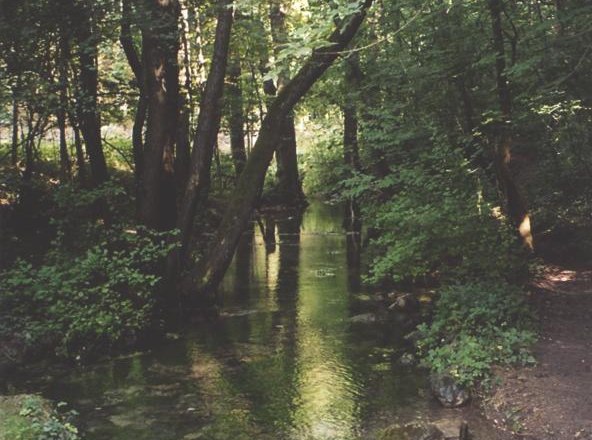 Antoniusbr&uuml;ndl, &copy; Antoniusbr&uuml;ndl