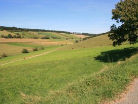 Anstieg Kronberg, &copy; Mostviertel