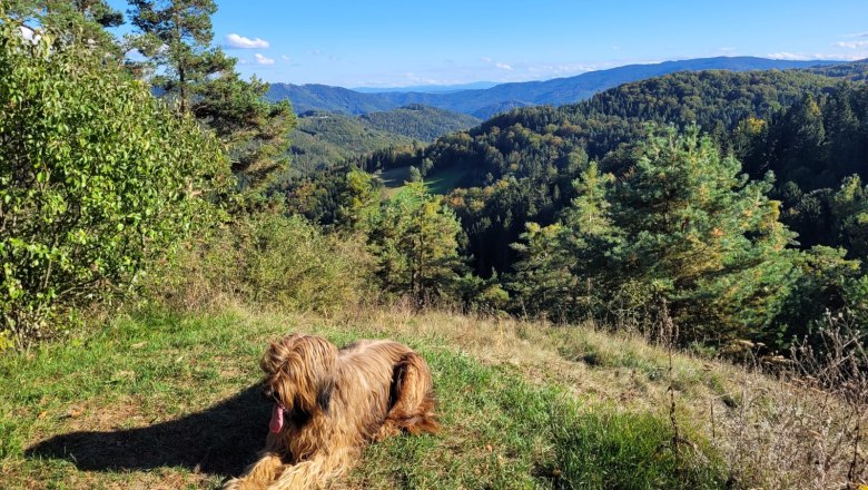 From short tours to long-distance hikes, everything is included!, © U.E.