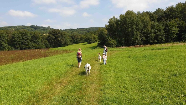 Goat hike, &copy; Verena Bubich