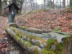F&ouml;hrenbrunnen, &copy; Wienerwald