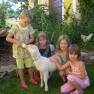 Children with goat, © Kerndlerhof