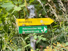 Markierung Hohenwarter H&ouml;h, &copy; Wachau Inside