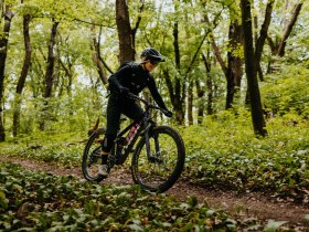 Sauberg Trail, &copy; &Ouml;sterreich Werbung/Charly Schwarz