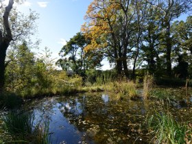 Nationalpark Donau-Auen &copy; Donau Nieder&ouml;sterreich/Steve Haider, &copy; Donau Nieder&ouml;sterreich/Steve Haider