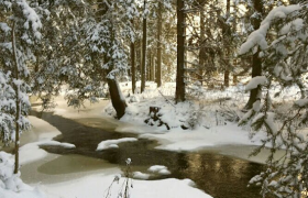 Screenshot 2025-04-15 133900, &copy; Astrid Hanke-Aberer