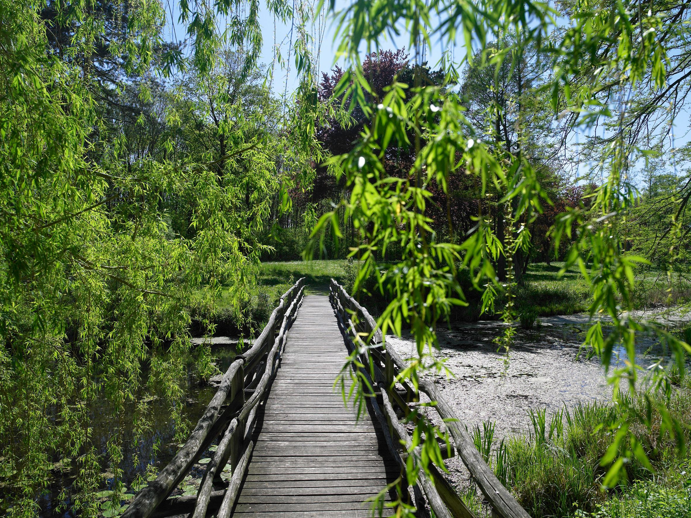 Eckartsau kastély kastélypark