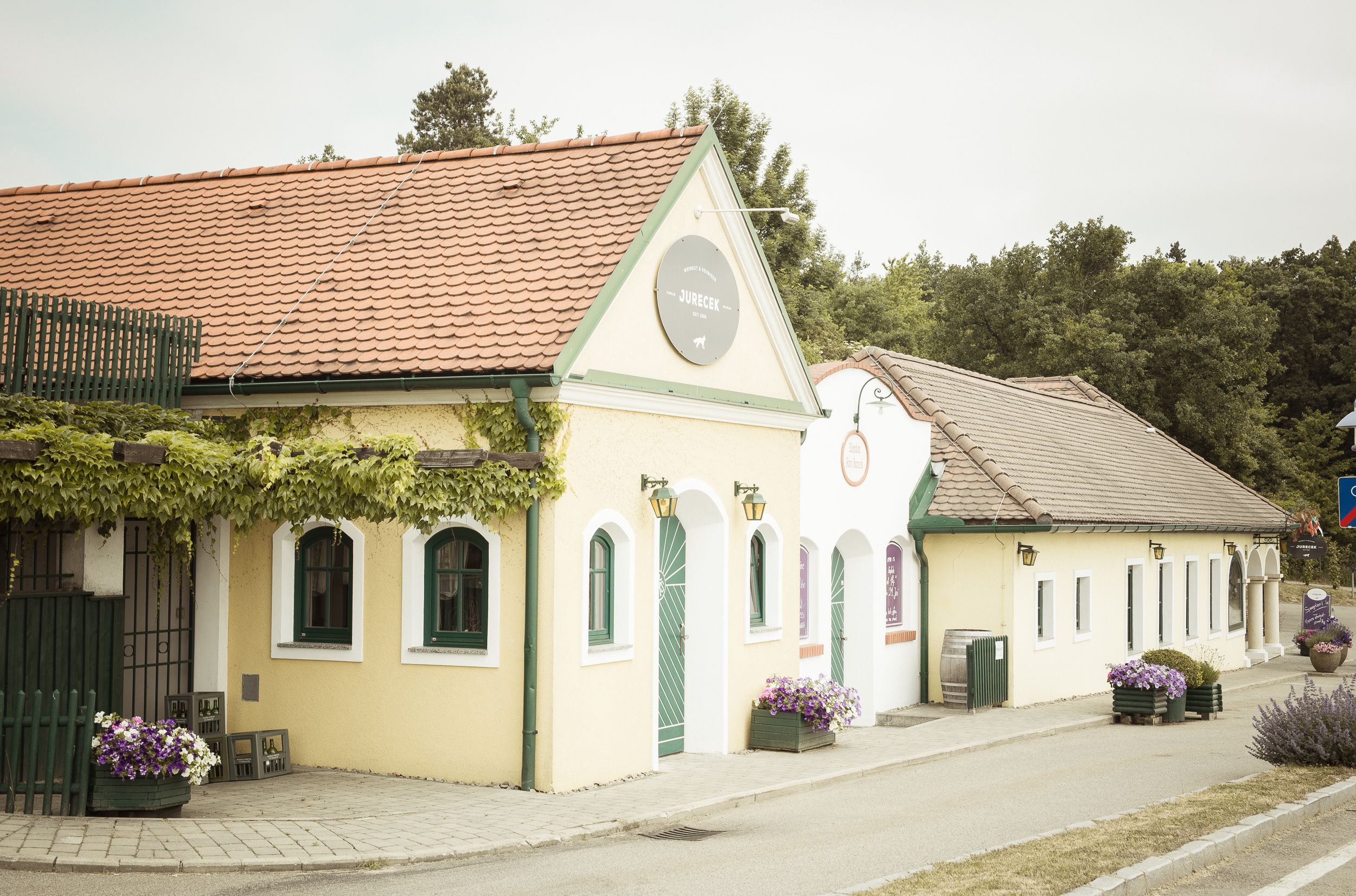Egy hagyományos borozó külső nézete, sárga homlokzattal és piros tetőcseréppel, növényekkel körülvéve.