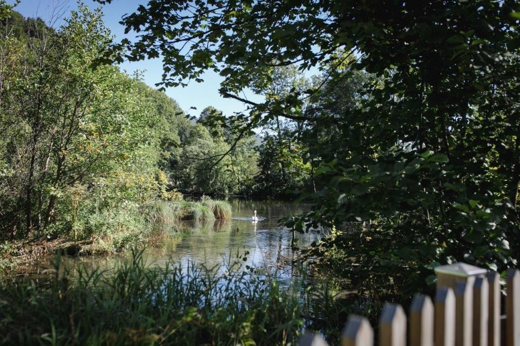 Forst Kienberg (3)