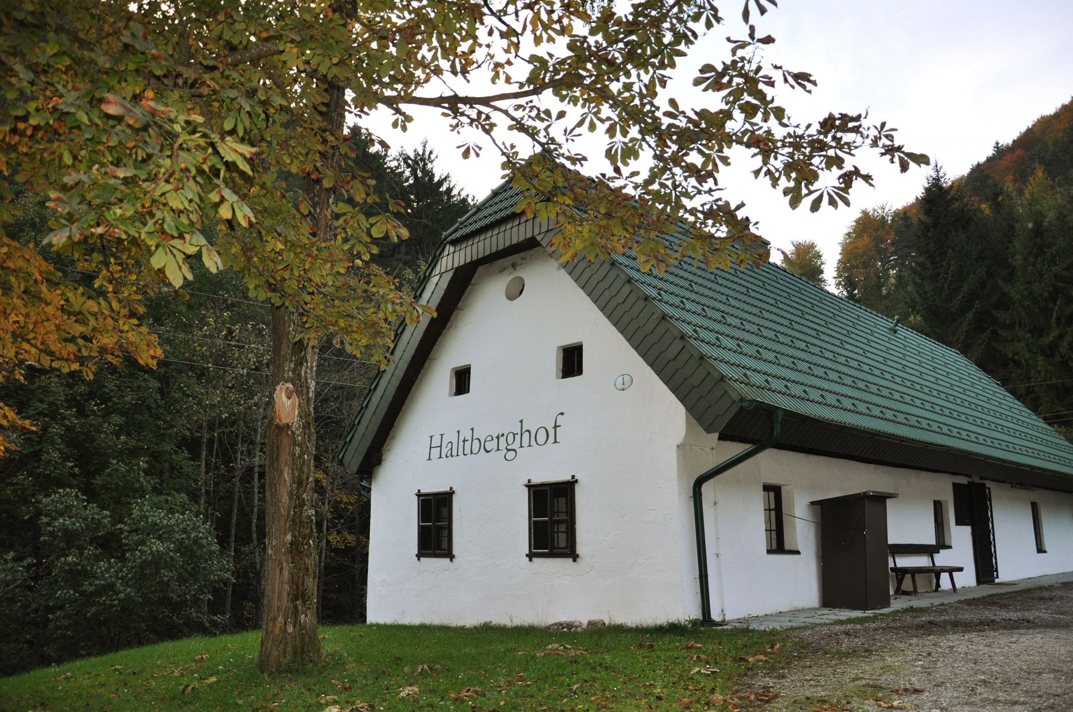 Fehér, zöldtetős nyaraló az erdőben, "Haltberghof" felirattal.
