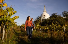 P&aacute;r s&eacute;t&aacute;l a szőlőskertben, a h&aacute;tt&eacute;rben a szt&uacute;pa