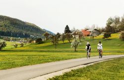 Zwei Radfahrer bewegen sich auf einem kurvigen Weg durch das hügelige Dirndltal. Obstbäume in voller Blüte und grüne Weiden markieren den Beginn des Mostviertler Frühlings.