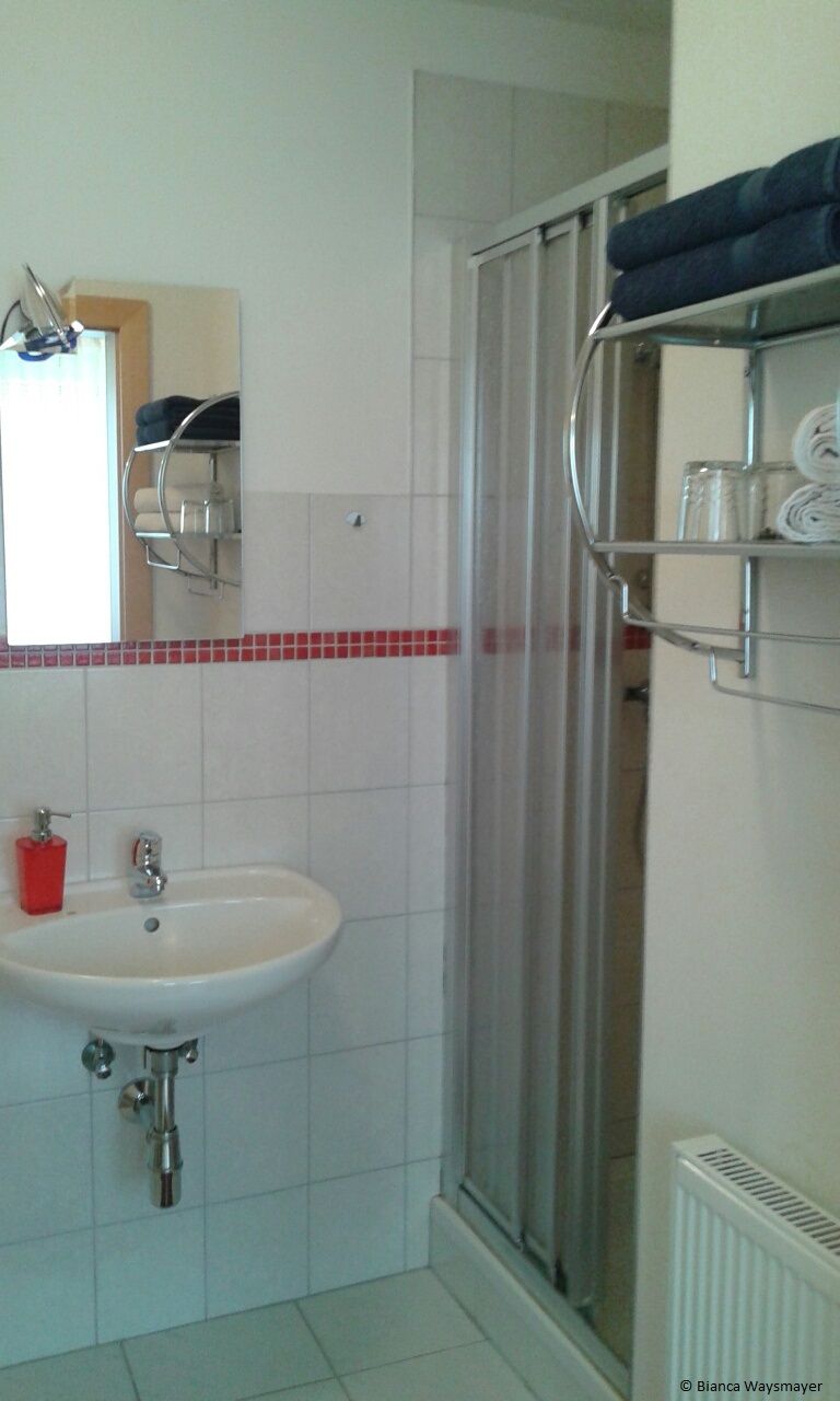 Fürdőszoba mosdóval, tükörrel, zuhanyzóval és törölközőtartóval.