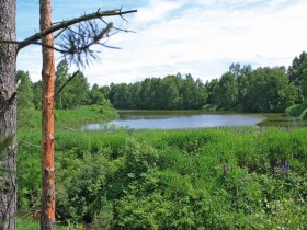 M&uuml;hlteich Eggern, &copy; &copy; Gemeinde Eggern