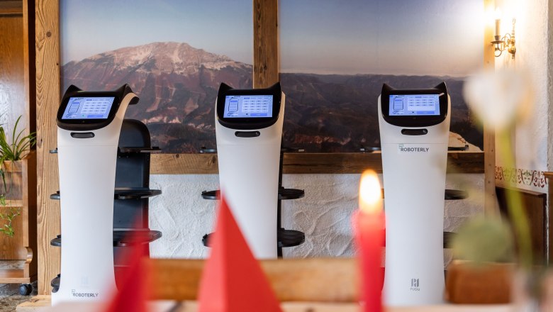 Felvon&oacute;, &copy; Kuhnert Rudolf