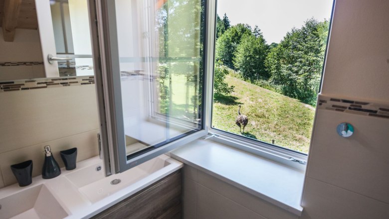 n&eacute;zet-f&uuml;rdőszoba, &copy; Otto Brandl