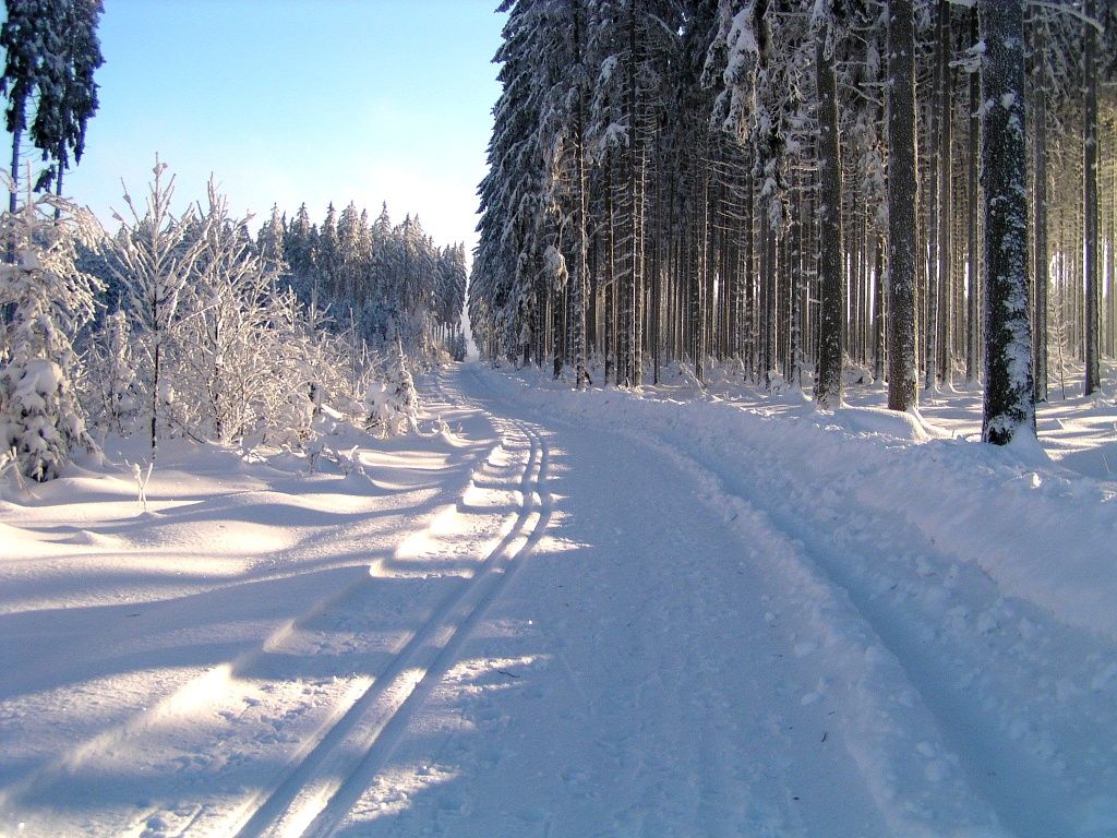 Sífutás Ottenschlagban © Gemeinde Ottenschlag