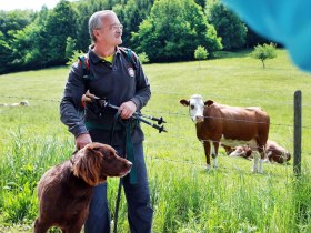 kein text, &copy; Nieder&ouml;sterreich