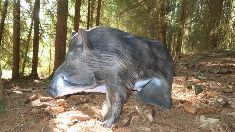 Target course, &copy; ARRA-Bogensport Harmanschlag