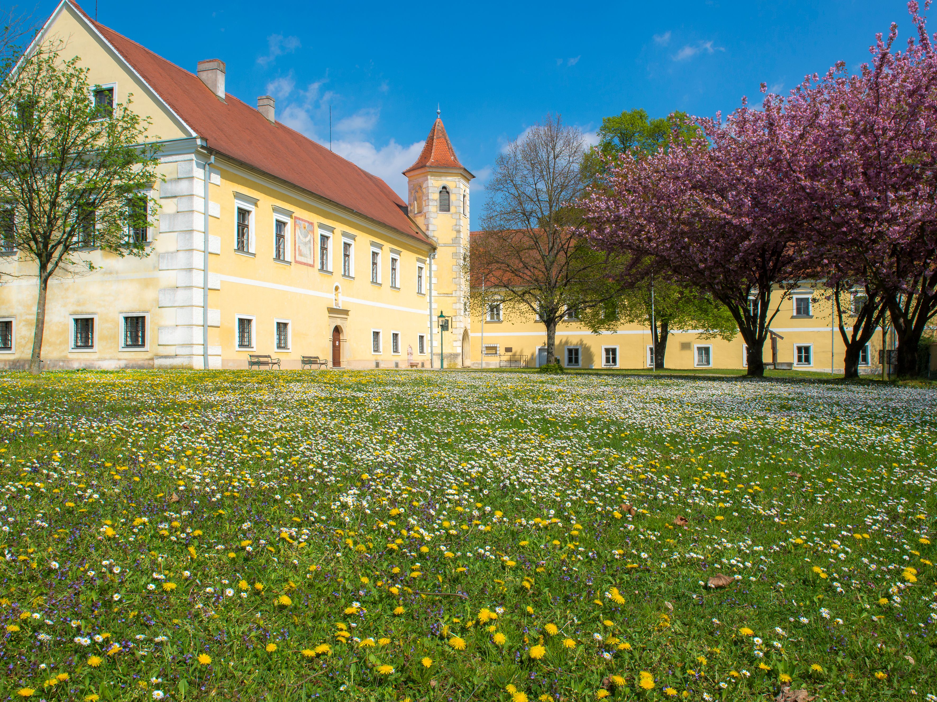Atzenbrugg kastély virágzó fákkal és réttel az előtérben.