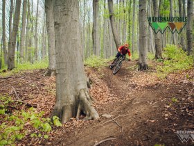 Sauberg Trail, &copy; Wienerwald Tourismus / Wienerwald Trails