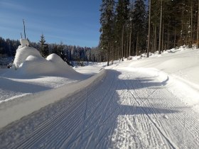 Langlaufen in B&auml;rnkopf, &copy; Waldviertel Tourismus