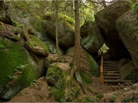 B&auml;rentrail, &copy; &copy; B&Auml;RENWALD, Matthias Schickhofer