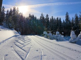 Langlaufen in B&auml;rnkopf, &copy; Waldviertel Tourismus