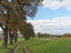 Spurweg Sand, &copy; Brigitte Hofschwaiger