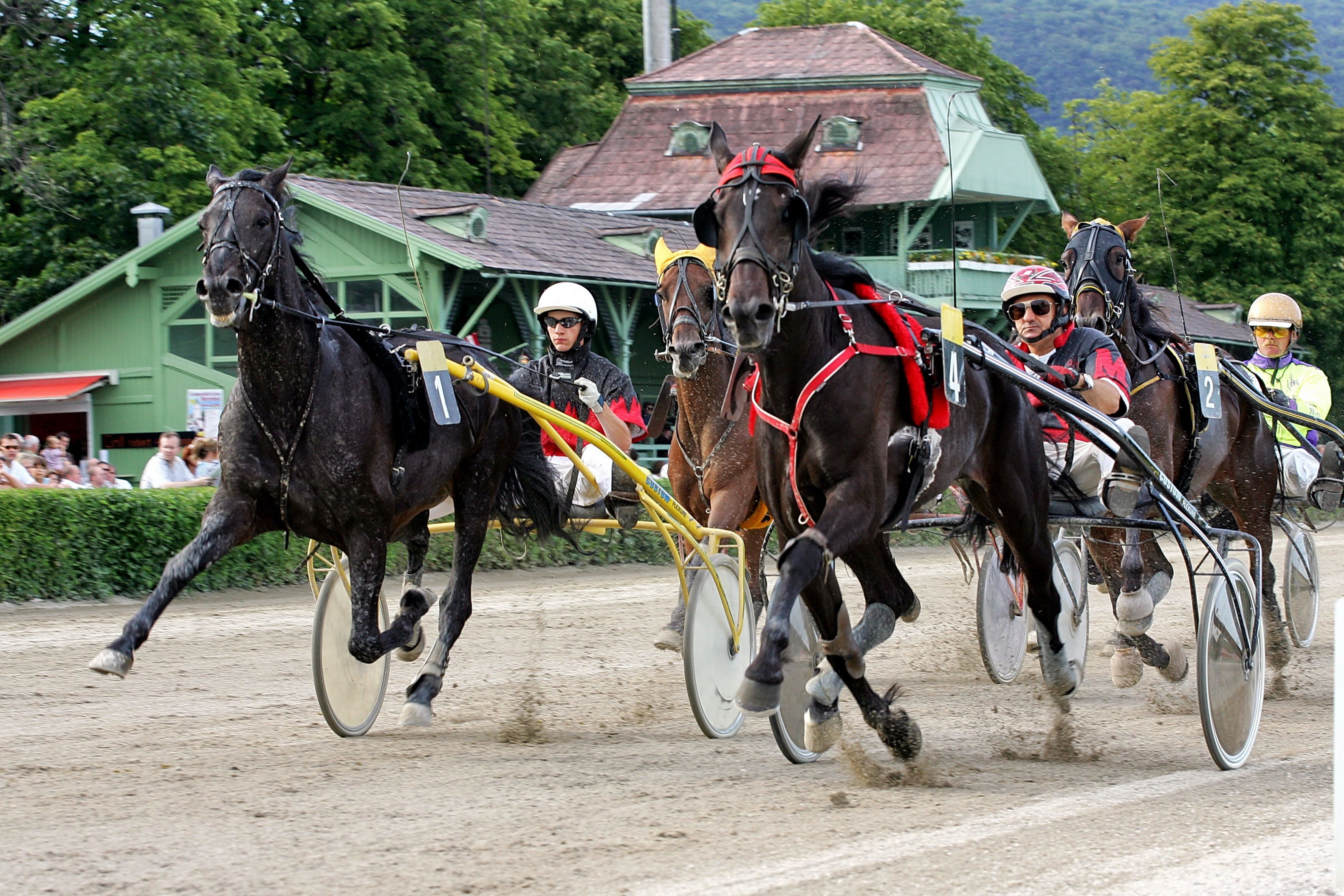 Baden Trotting Club