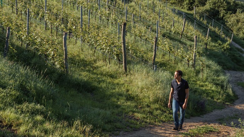 Allram Winery, &copy; Hasselblad X1D