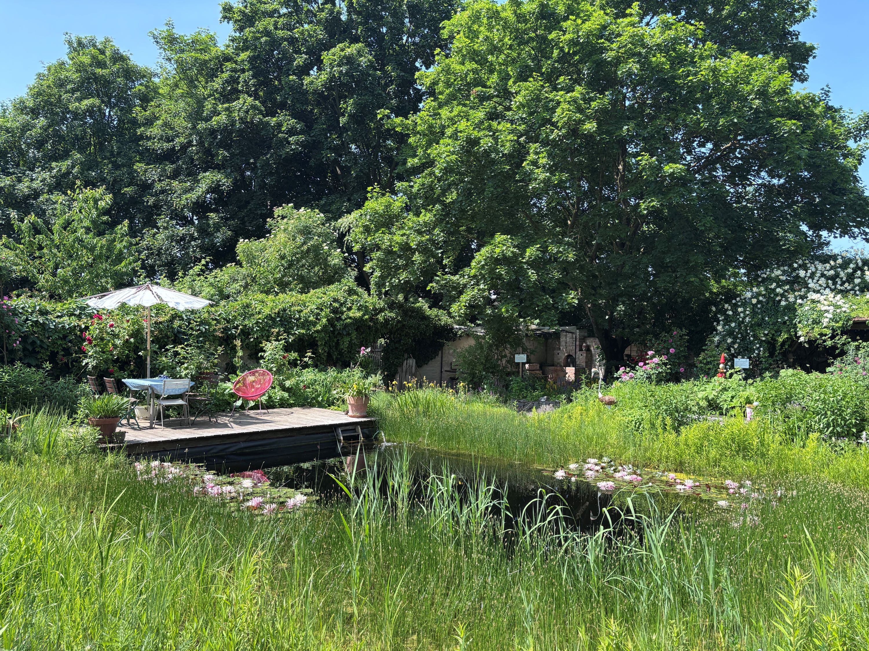 Idilli kert tavacskával, fából készült terasszal, asztallal és napernyős székekkel, buja növényzettel és fákkal körülvéve.