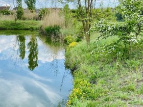 Watzelsdorf Wasserwelt, &copy; Weinstra&szlig;e Weinviertel