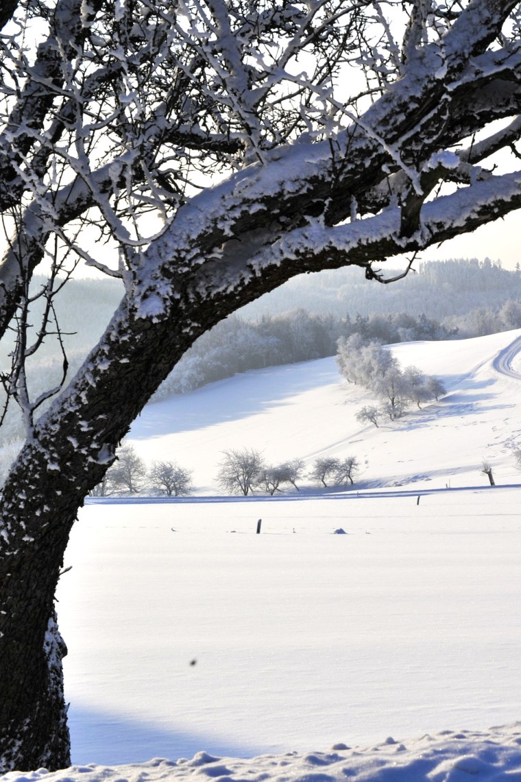 Téli kilátás a Jauerlingre., © Naturparke Niederösterreich/Robert Herbst