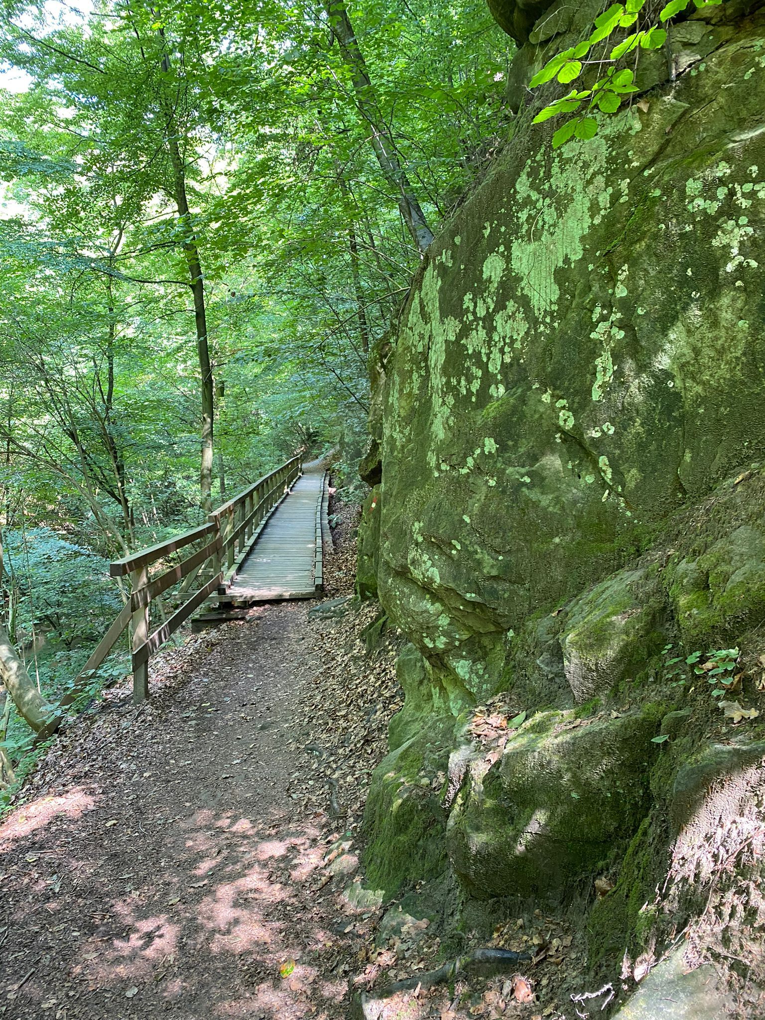 TDR Hagenbach-szurdok