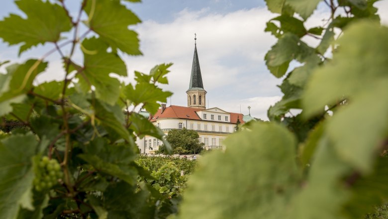 Church and castle, &copy; Marktgemeinde Gumpoldskirchen