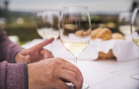 Wine enjoyment, &copy; Donau N&Ouml;/Daniela Matejscheck