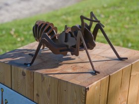 Ameisenpfad, &copy; &copy;Martin Weiner