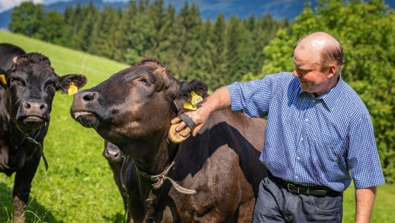 Organic Wagyuhof Reingrub, &copy; Theo Kust