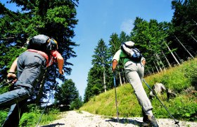 Gippel és Göller, © weinfranz.at