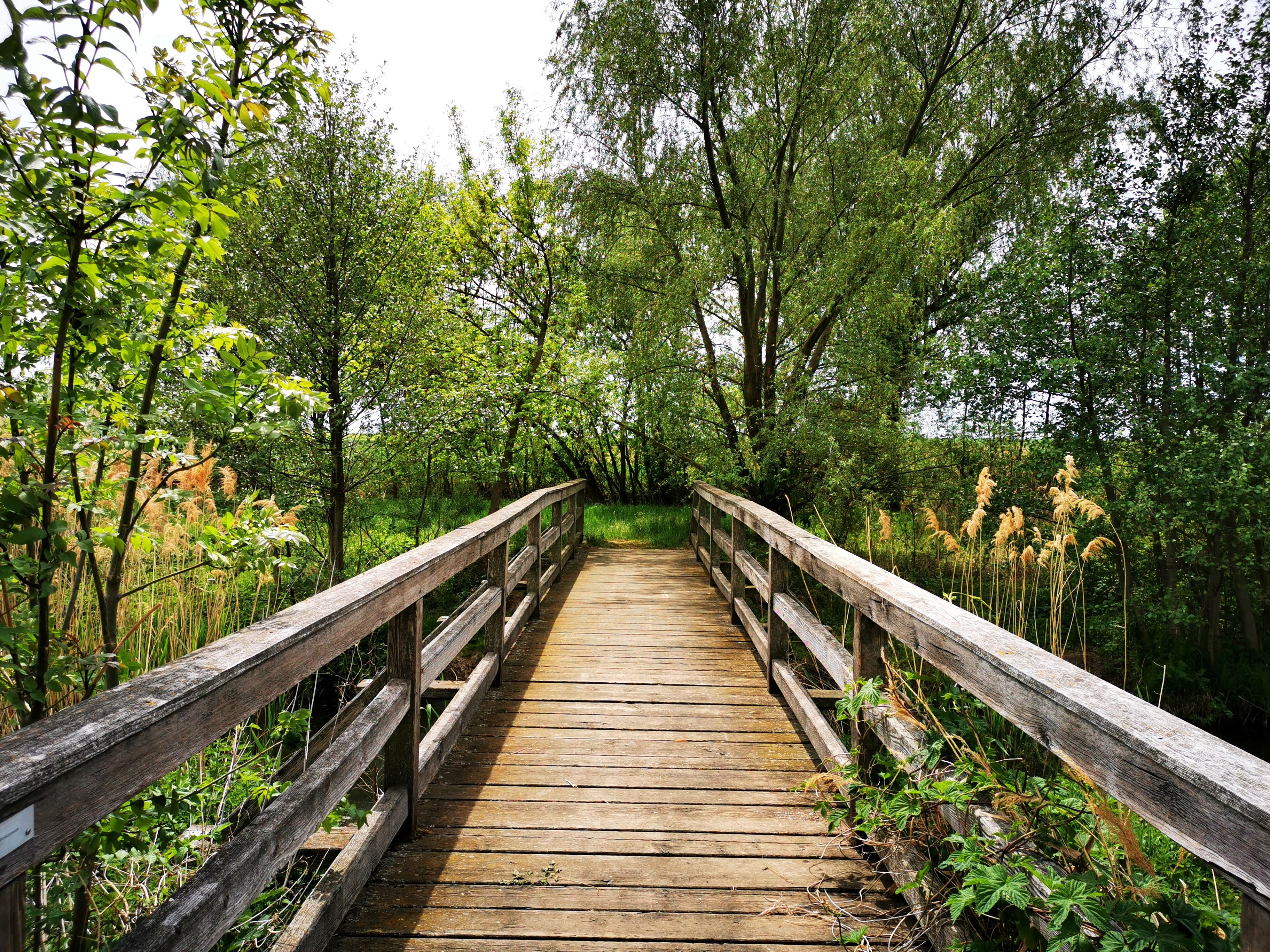 Helyi üdülőövezet Roseldorf