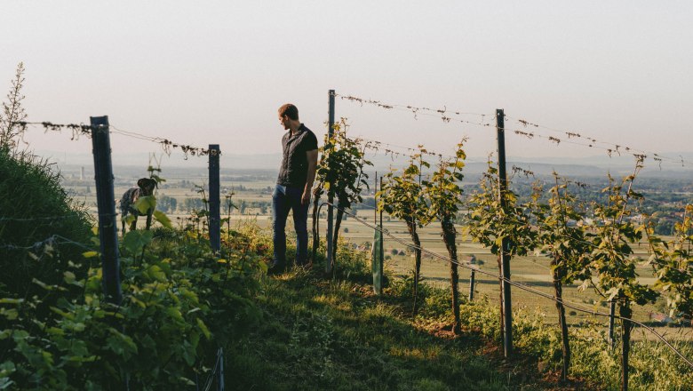 Allram Winery, &copy; Hasselblad X1D