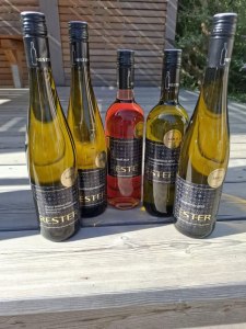 5-Goldene-2025-Winegrowing Rester, &copy; Weinbau Rester