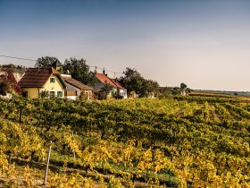 WNK, Feuersbrunn am Wagram, Herbstlandschaft, Herbst, Robert Herbst, &copy; Robert Herbst